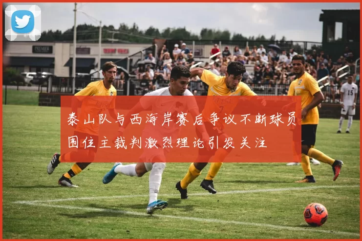 泰山队与西海岸赛后争议不断球员围住主裁判激烈理论引发关注