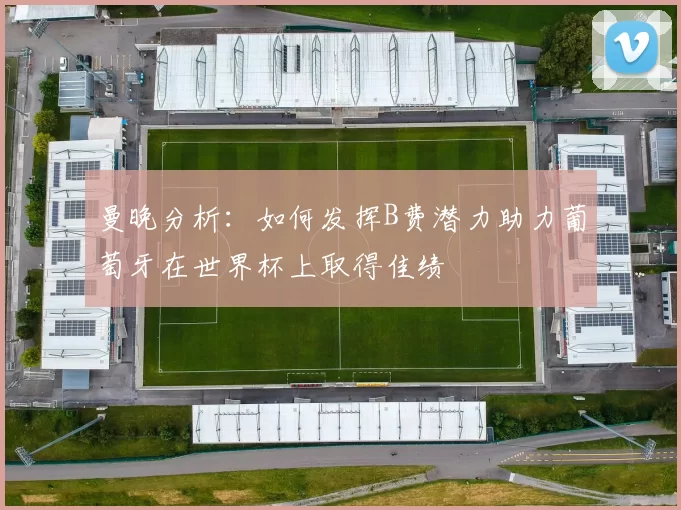 曼晚分析：如何发挥B费潜力助力葡萄牙在世界杯上取得佳绩